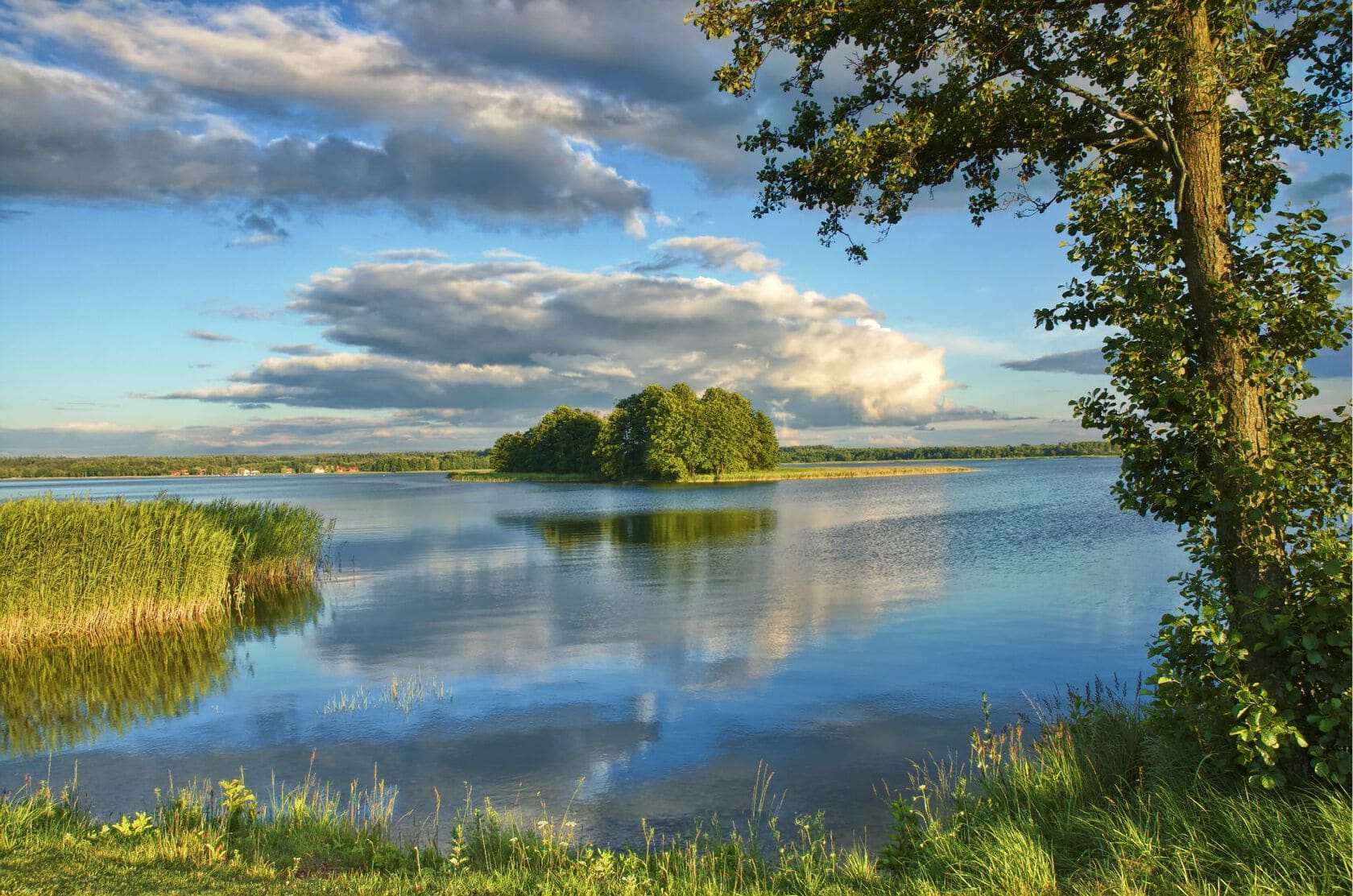 Smuk sø omgivet af grønne træer og eng. Den blå himmel spejler sig i søen.
